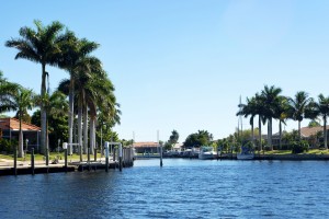 palms and canal