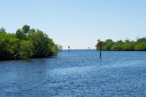 waterway  mangroves